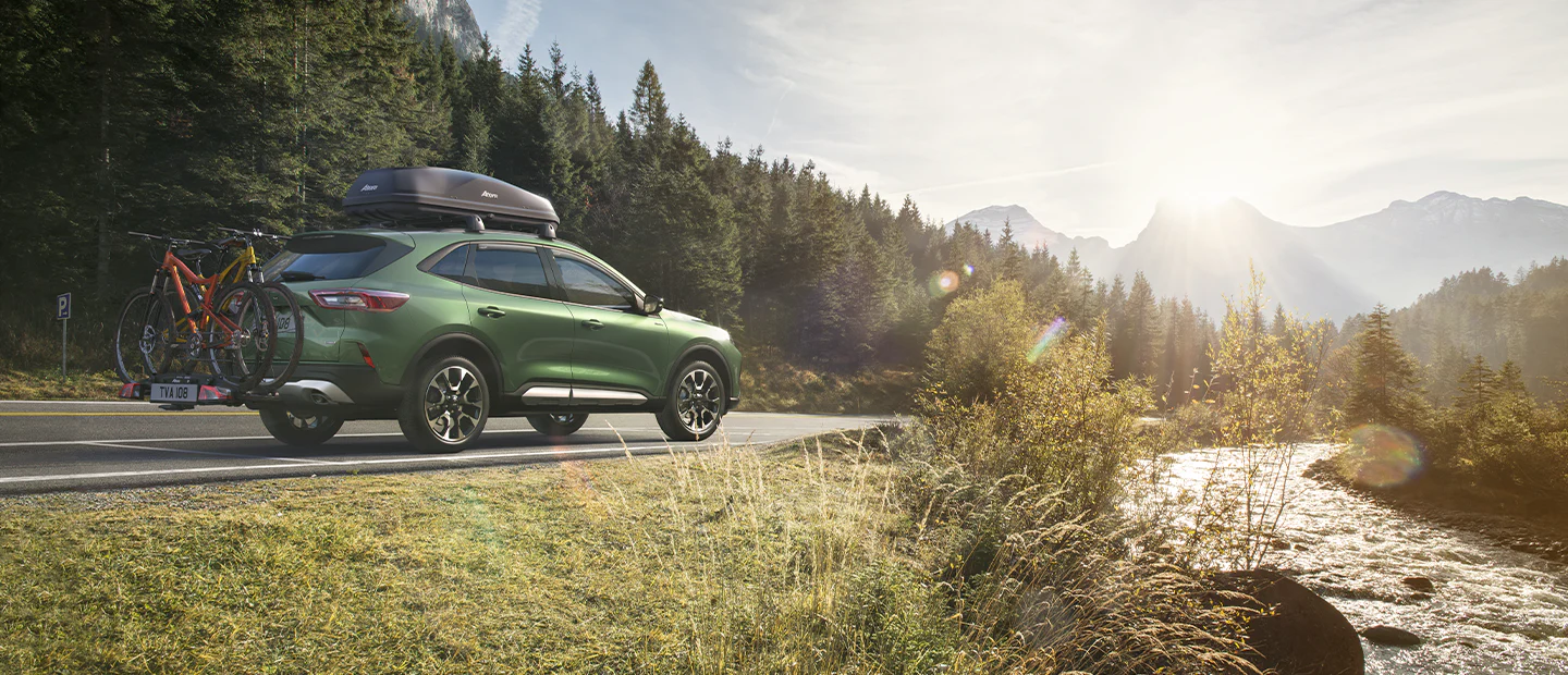 Welcome to Our Store